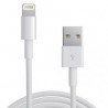 Cable Usb Original iphone